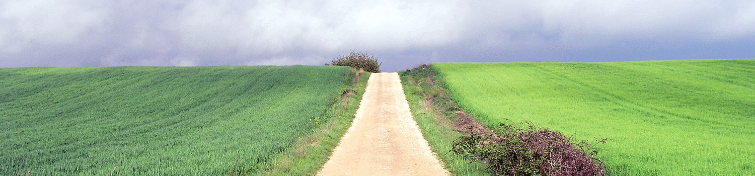 Erste Schritte zur Therapie 3 ErsteSchritte