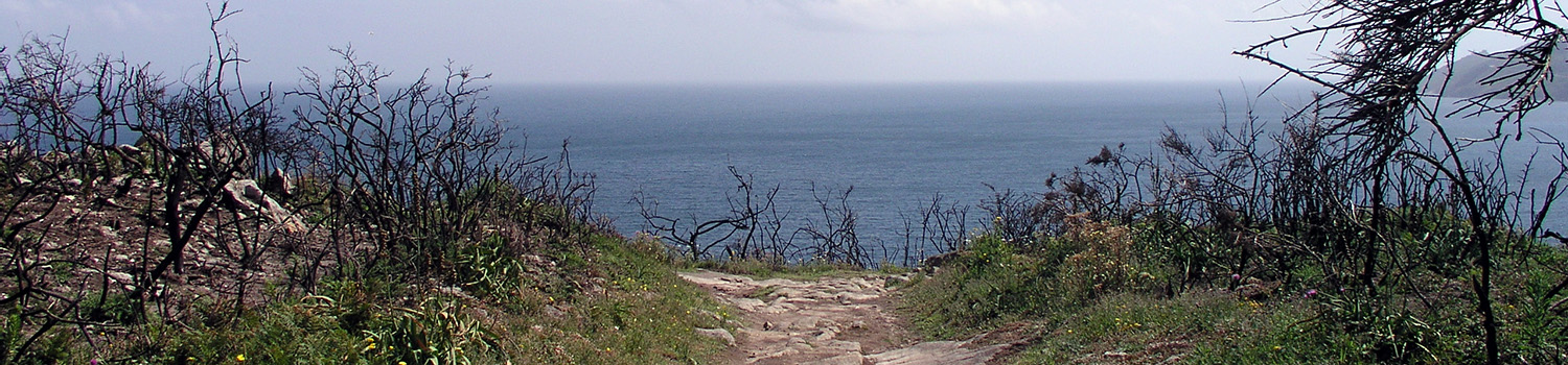 Terapia conductal 3 Methoden